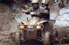 Краткая биография ATV