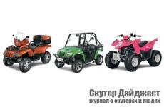 ATV Arctic Cat 2009 года. Литр распространяется