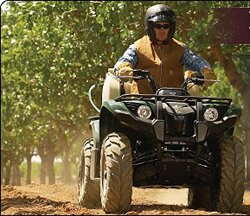 Yamaha YFM90 и Grizzly 550. Кто на новенького?