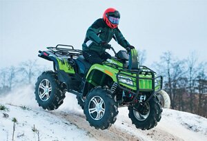 “Arctic Cat”: игра мускулами