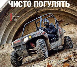 Чисто погулять