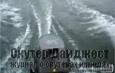 Мотор Tohatsu в действии 